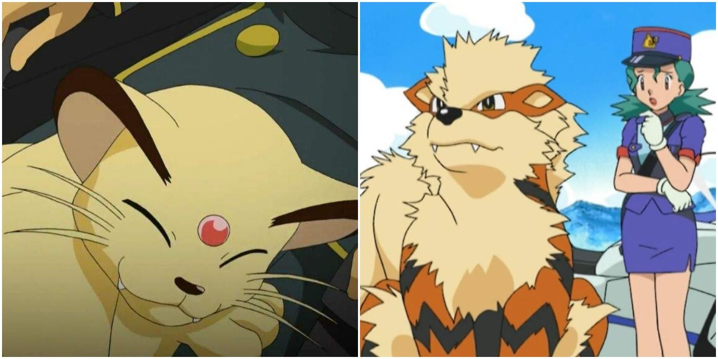 Persian and Arcanine from the Pokemon anime