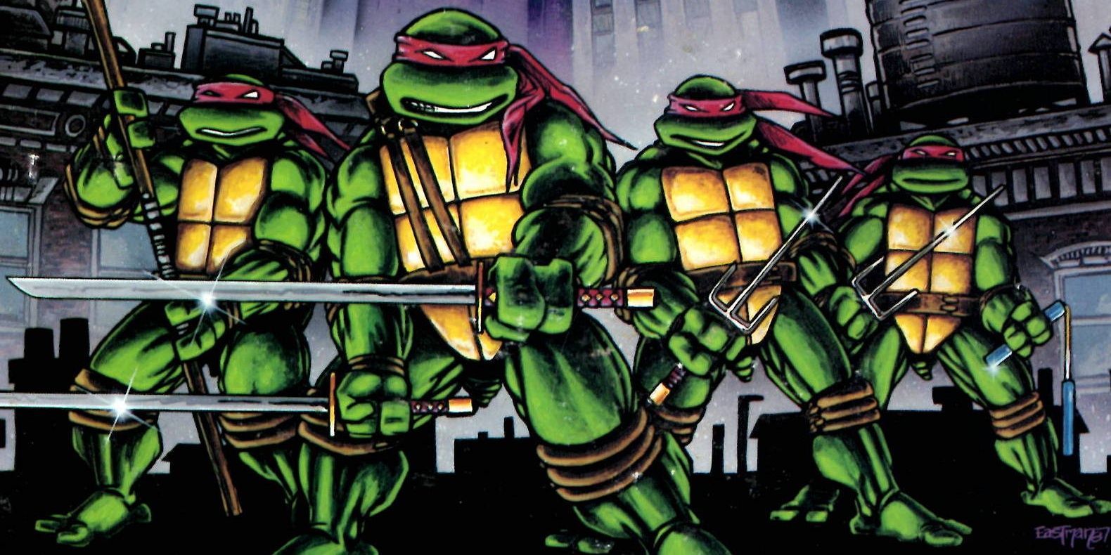Leonardo, Michelangelo, Donatello and Raphael as they appear in the comics