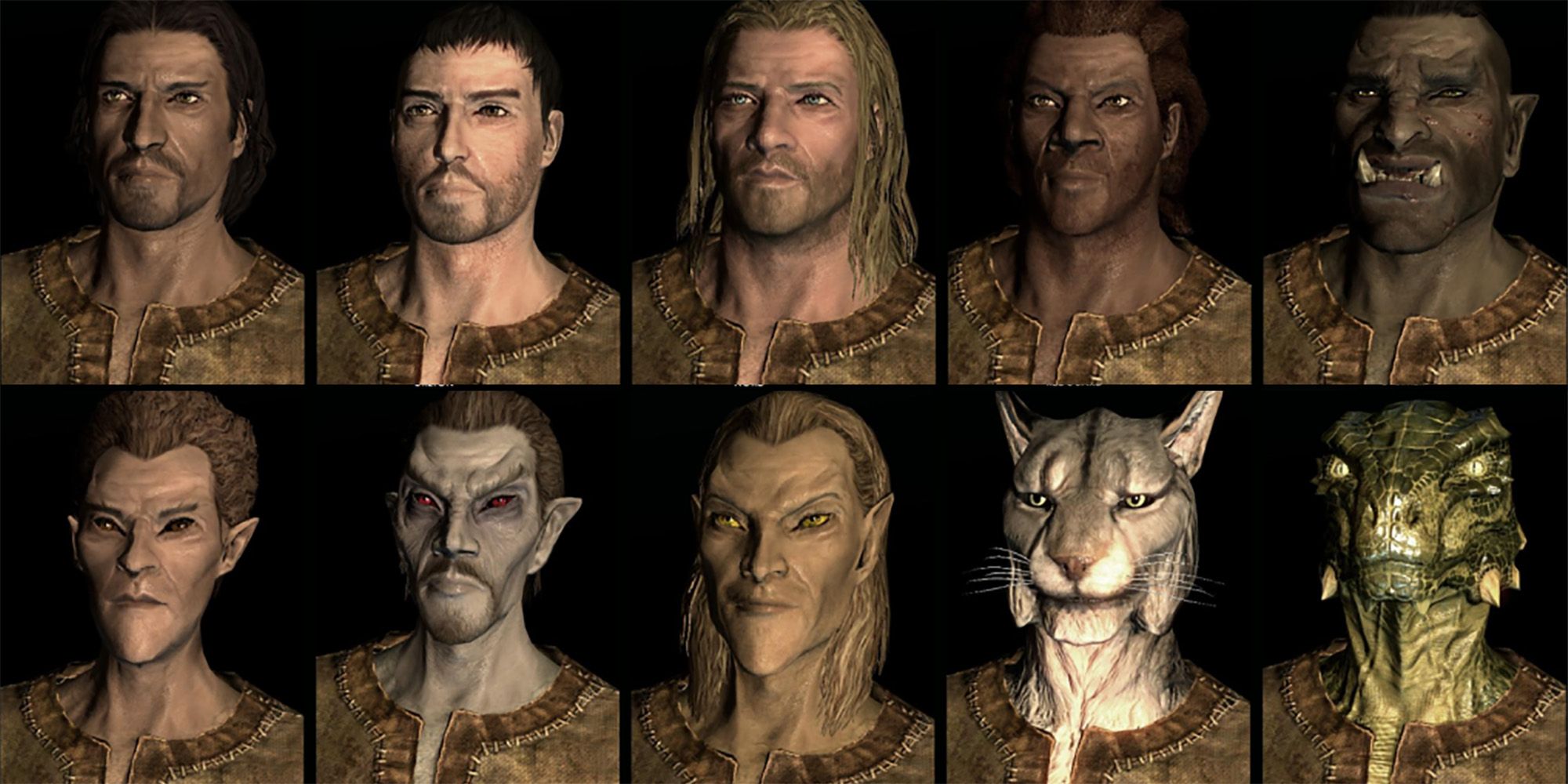 Skyrim Races