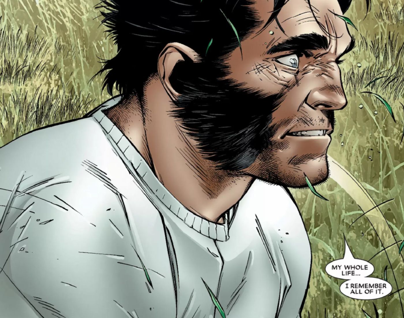 Wolverine Remembers House of M