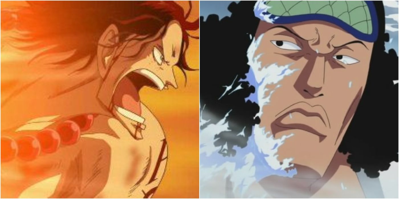 Ace and Aokiji-One Piece