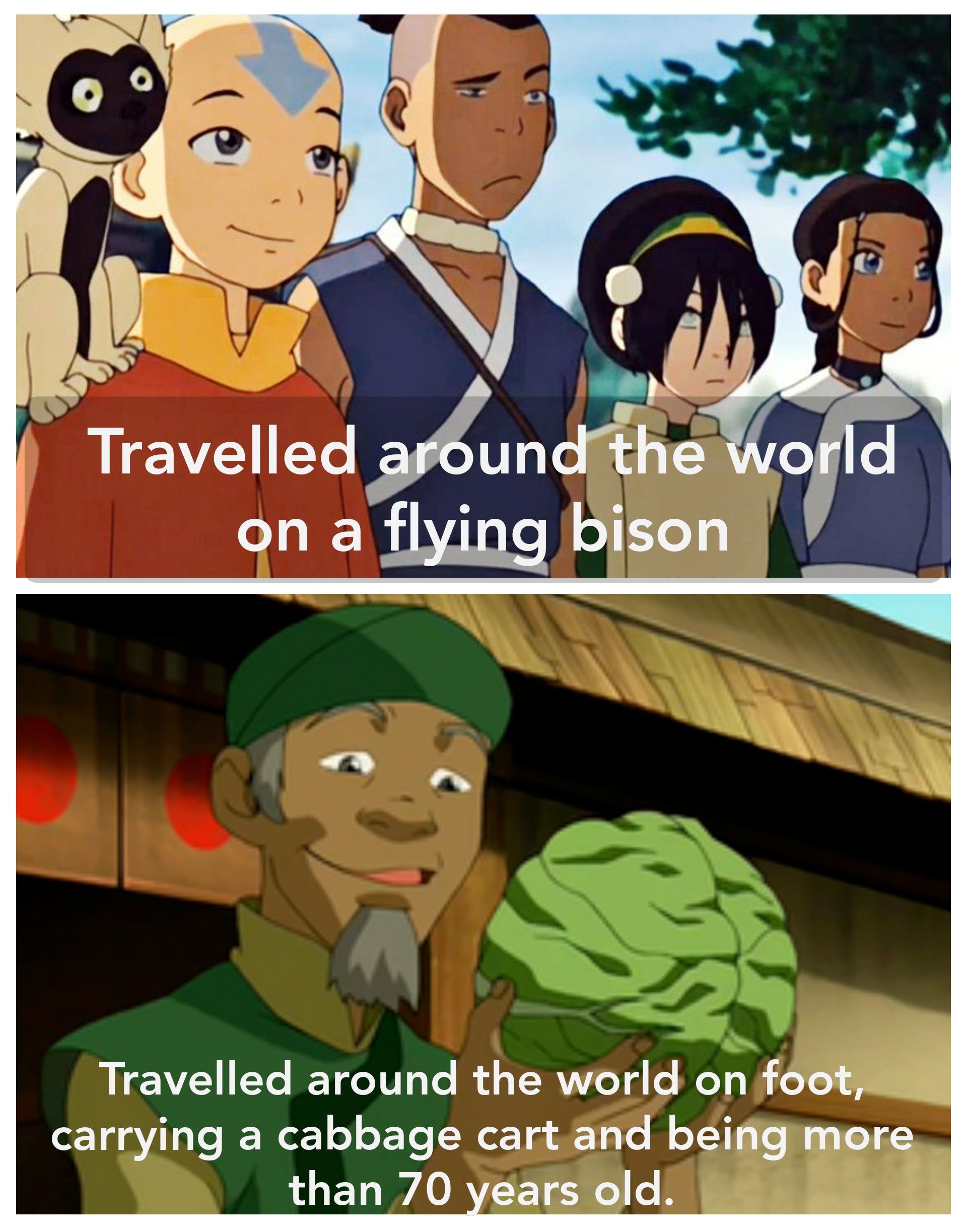 Avatar The Last Airbender The 10 Best Cabbage Man Memes
