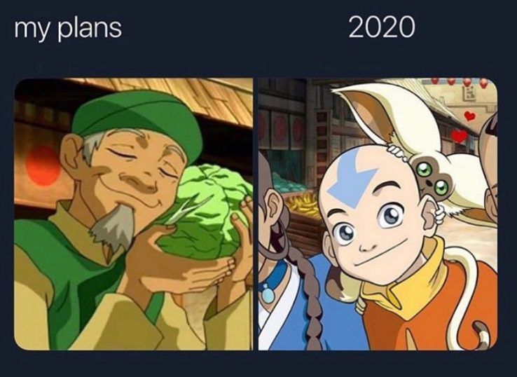 my plans vs 2020 meme cabbage man vs aang