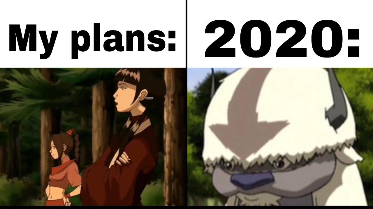 my plans vs 2020 meme ty lee and mai versus appa