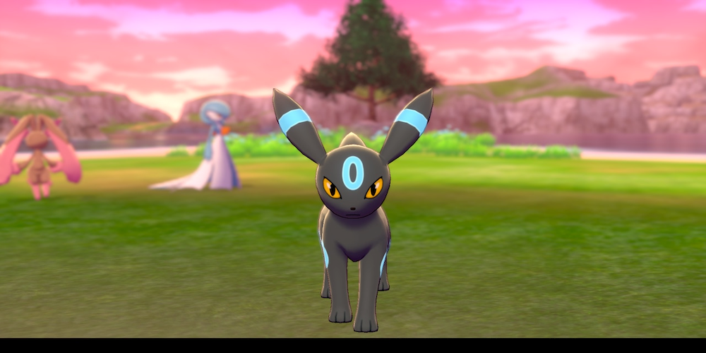 Una captura de pantalla muestra a Shiny Umbreon de Pokémon Sword and Shield.