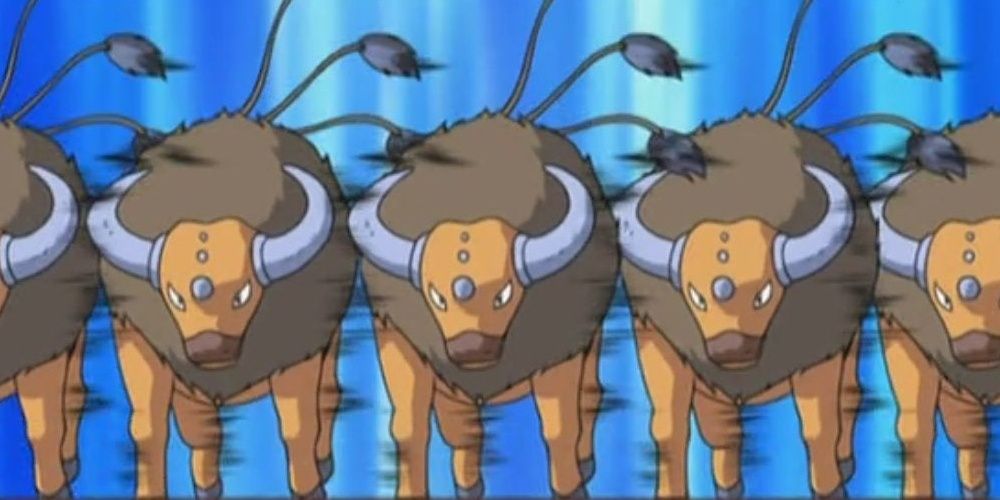 Ash's multiple tauros stampeding in a herd in Pokemon anime