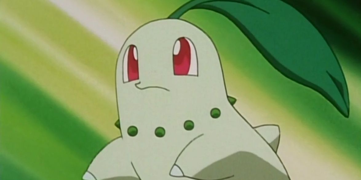 Chikorita with a green background in Pokemon.