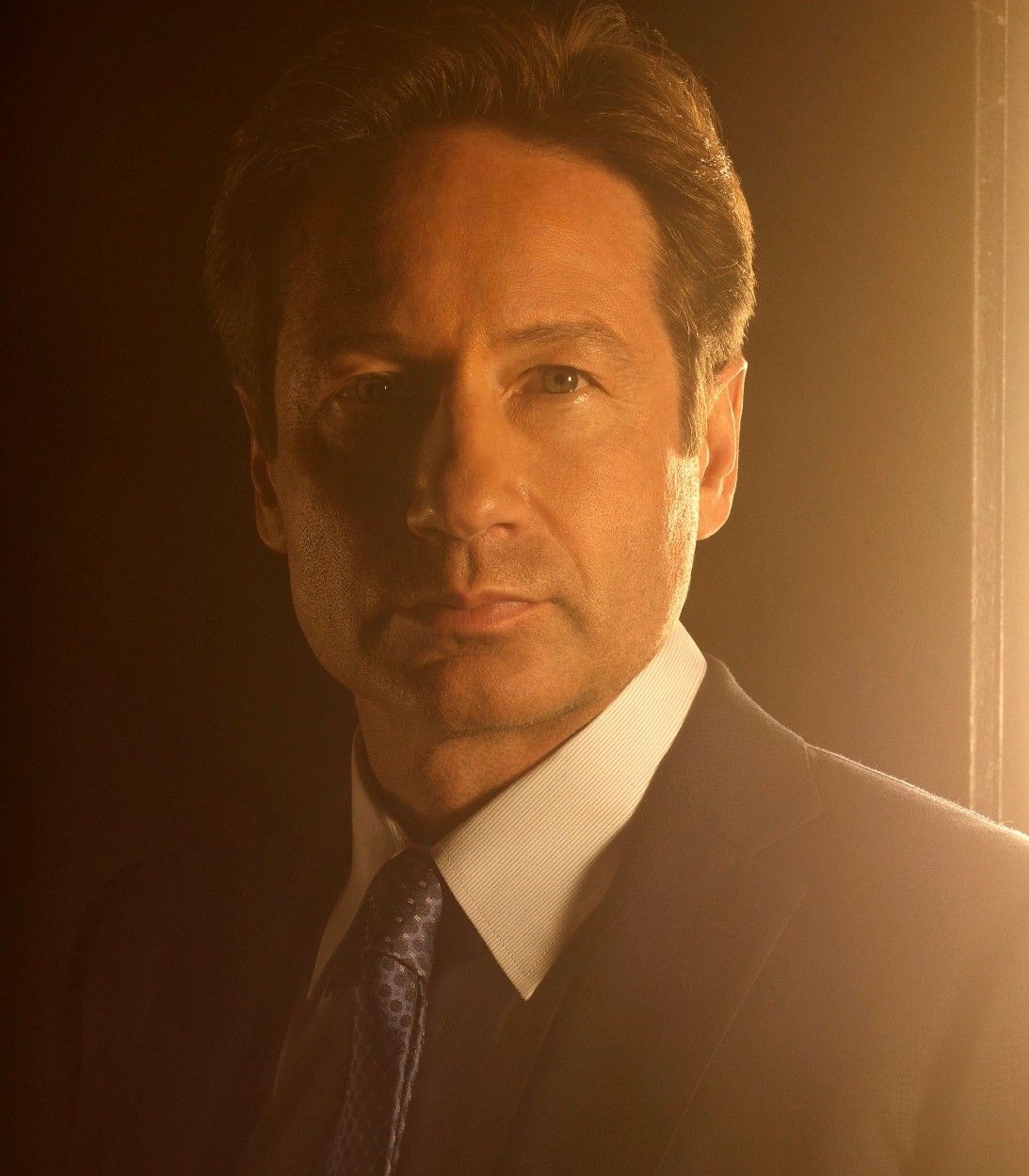 David Duchovny in The X-Files Revival
