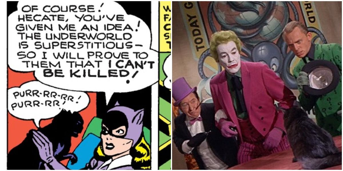 DC Catwoman's 10 Best Cats & Their Names