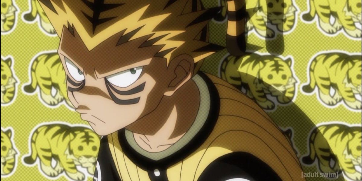 The Zodiac Twelve: The guide of Hunter X Hunter