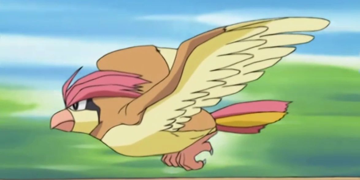 Pidegotto flying in the Pokemon anime