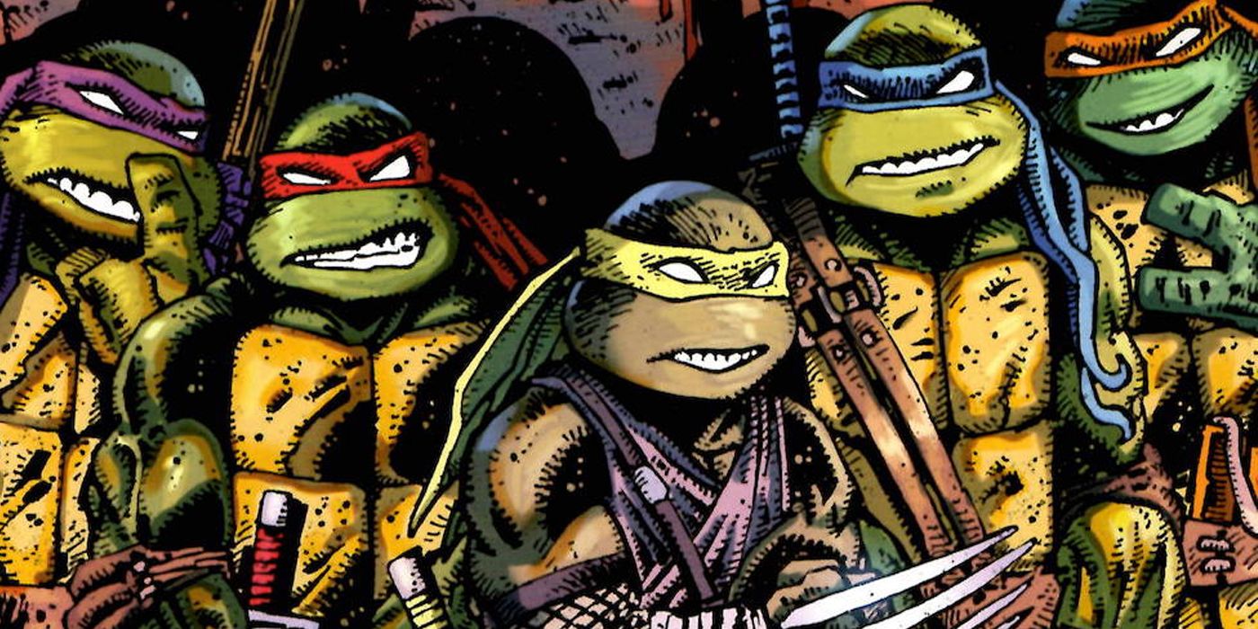 Teenage Mutant Ninja Turtles With Jennika in the middle