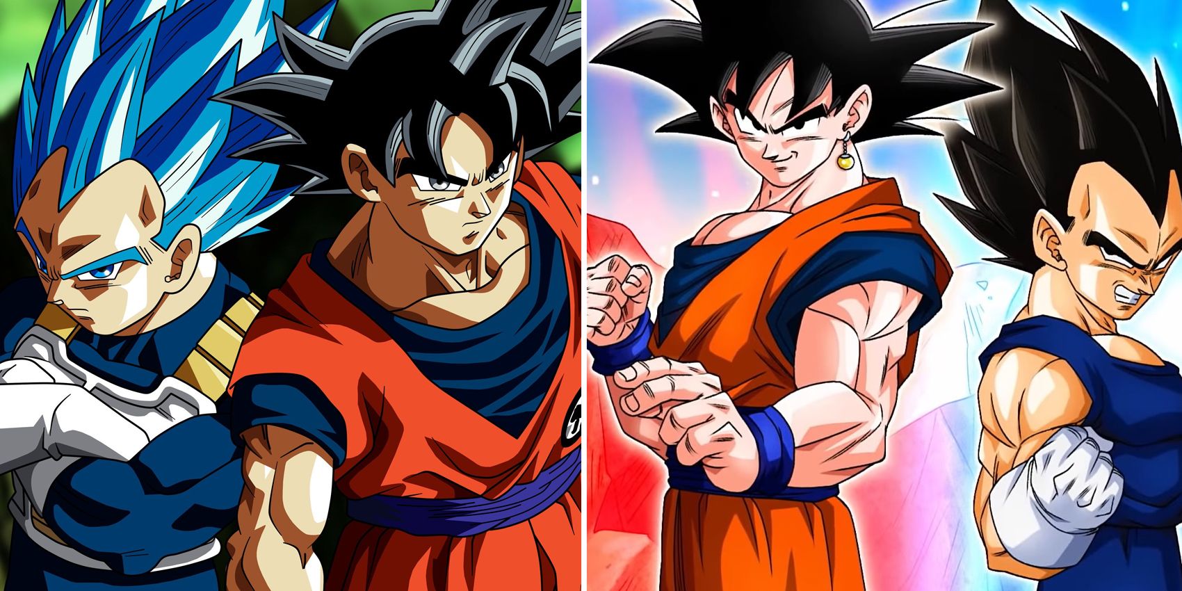 Vegeta and Goku: Two warriors with very different histories