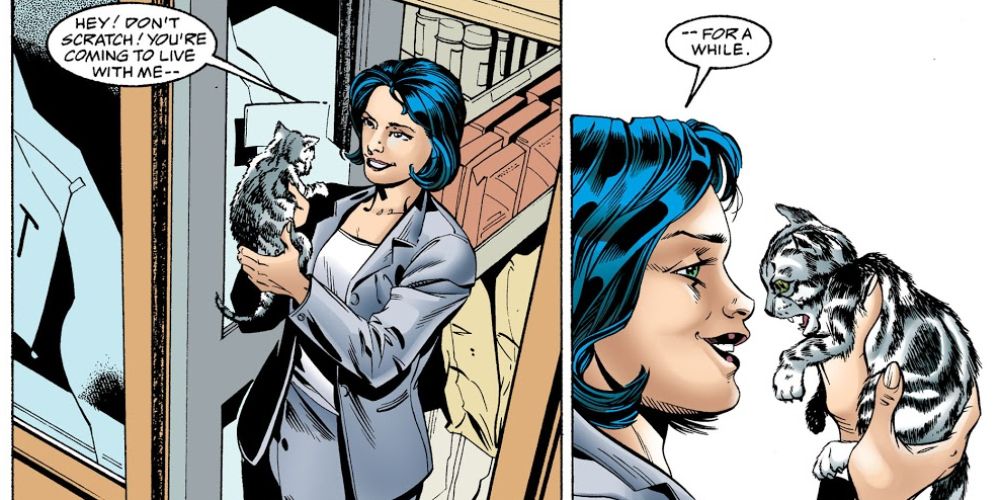 DC Catwoman's 10 Best Cats & Their Names
