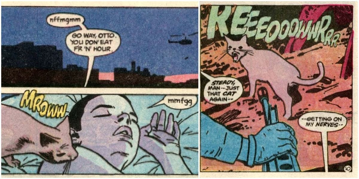 DC Catwoman's 10 Best Cats & Their Names