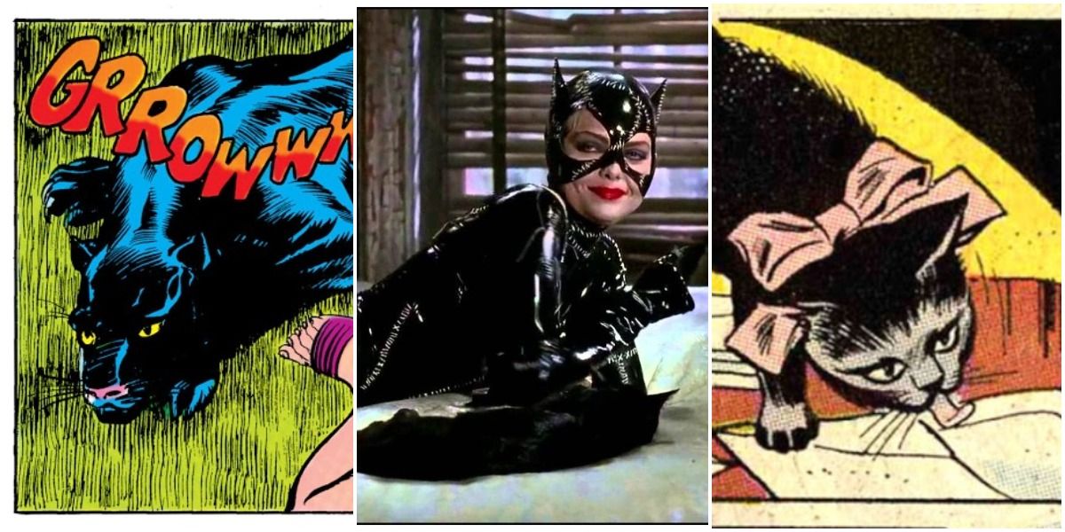 DC Catwomans 10 Best Cats & Their Names