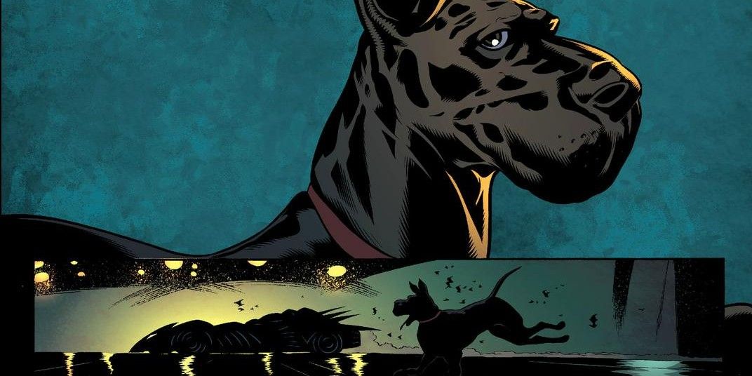 Pettorina Comics Batman For Fan Pets