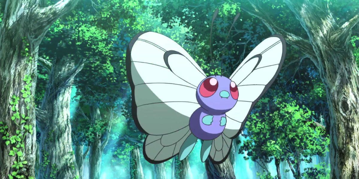 Butterfree flies through the forest in Pokemon anime