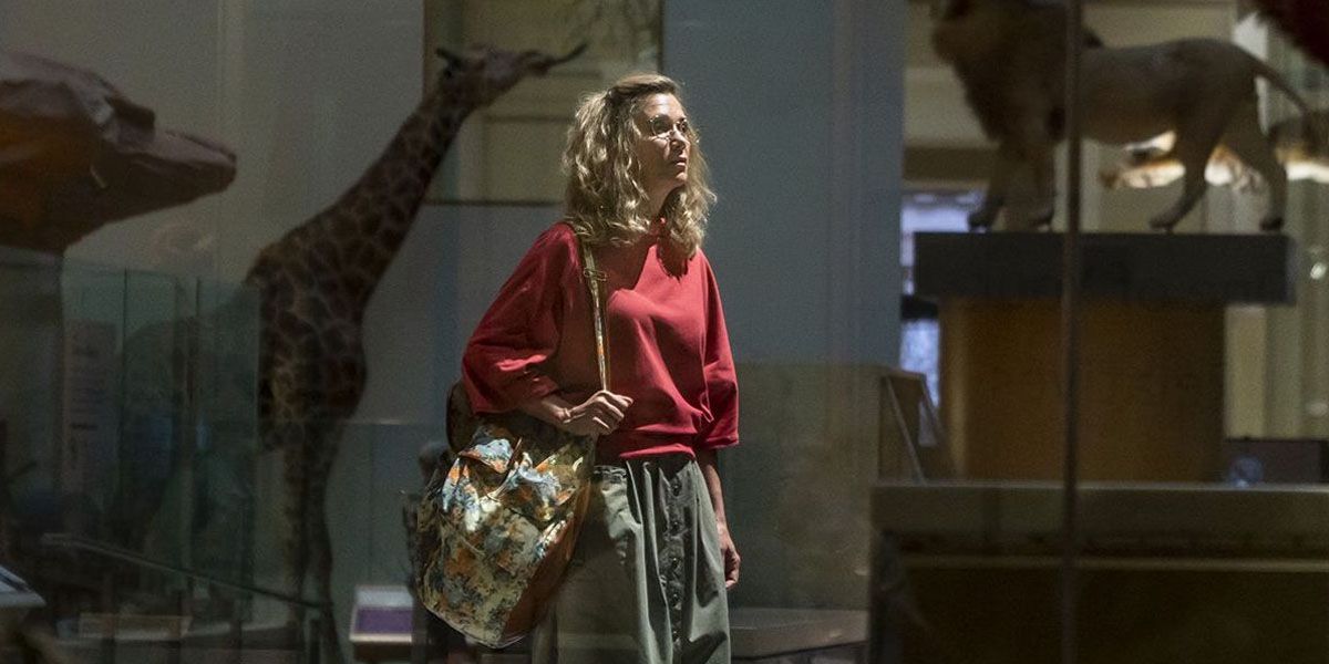Cheetah walks through the animal taxidermy exhibit