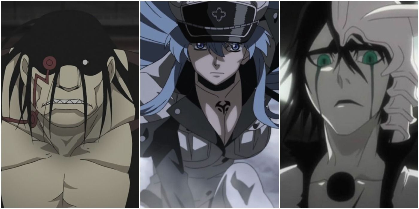 Akame ga kill The Anime With Esdeath in it 