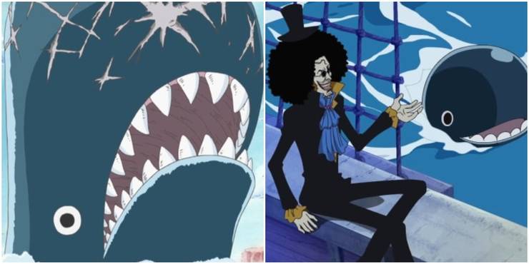 One Piece 10 Easter Eggs You Ll Only Notice On A Rewatch Cbr One Piece 10 Easter Eggs You Ll Only Notice On A Rewatch Cbr