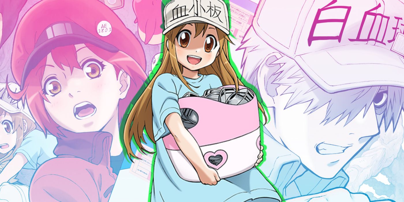 Cells at Work Returns! Why Having Two Different Cells at Work Anime Airing  Simultaneously Makes for a More Enjoyable Experience – OTAQUEST