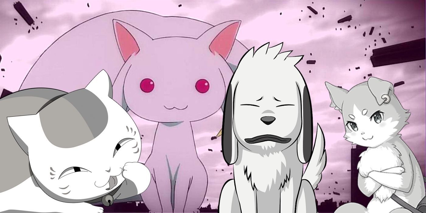 featured anime pets kyubey nyanko puck