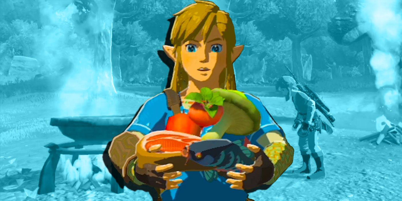 Simple Cooking Recipes in Zelda BOTW — Kelleher Bros.