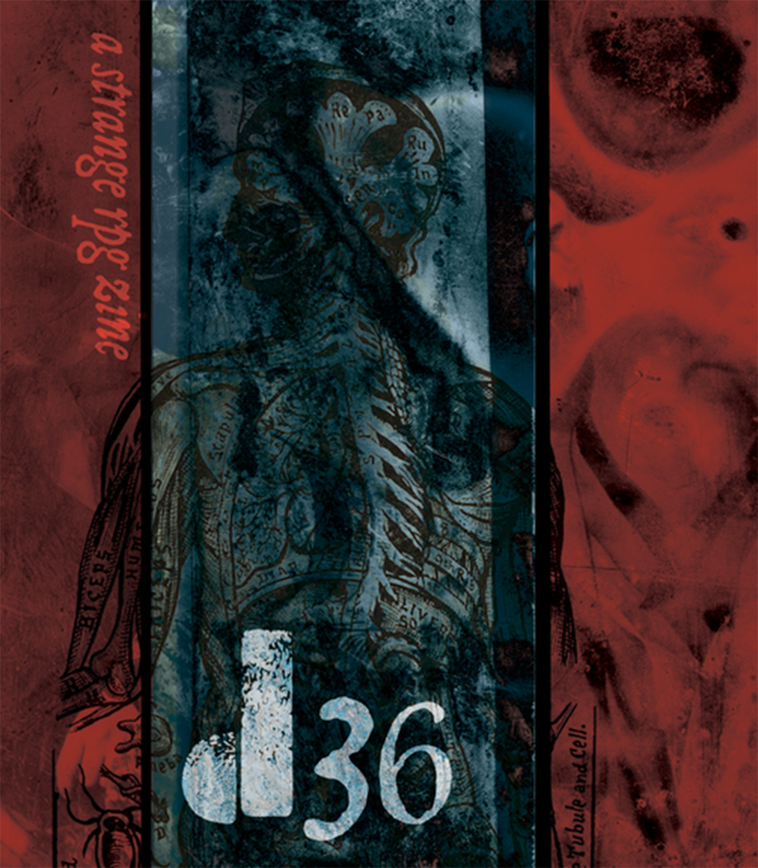 D36 cover — blood red field, with a black stripe running vertical. Abstract body can be seen beneath the texture.