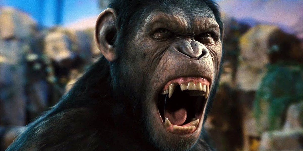 Planet of the Apes: 10 Most Important Characters from the New Trilogy