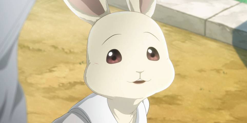 Beastars 10 Things You Need To Know Before Watching The Anime Beastars 10 Things You Need To Know Before Watching The Anime