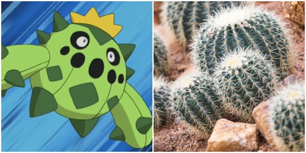 15 GrassType Pokémon That Are Basically Real Plants