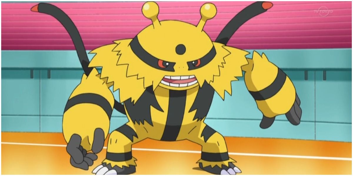 Electivire is fighting someone
