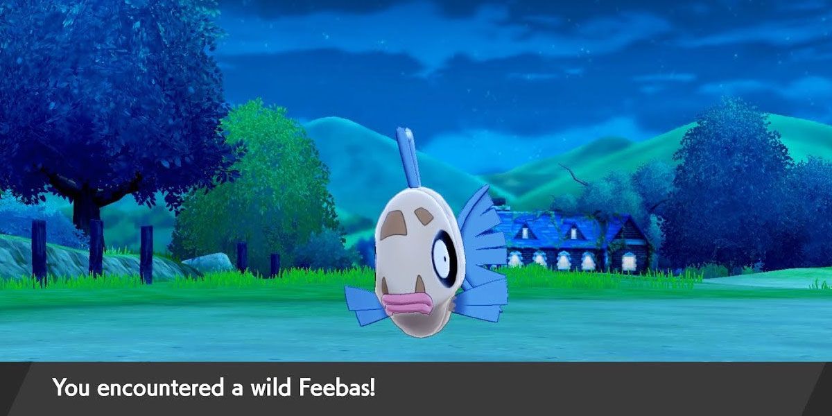 Encountering a wild feebas