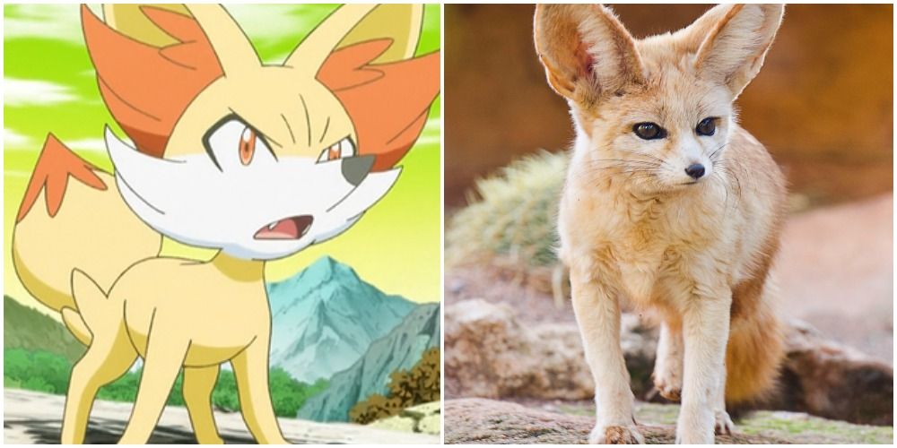 Split Image Of Fennekin Pokemon and a Fennec Fox 
