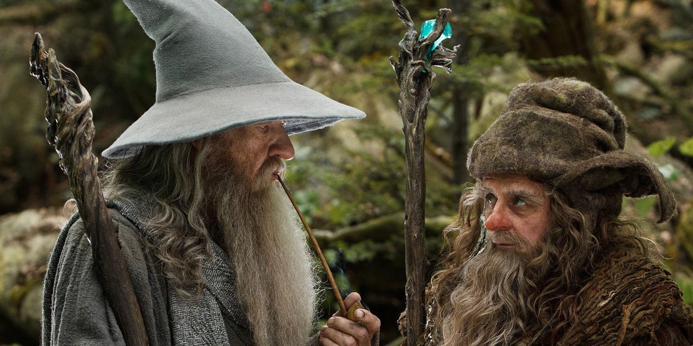Gandalf the Grey and Radagast the Brown have a chat in The Hobbit.