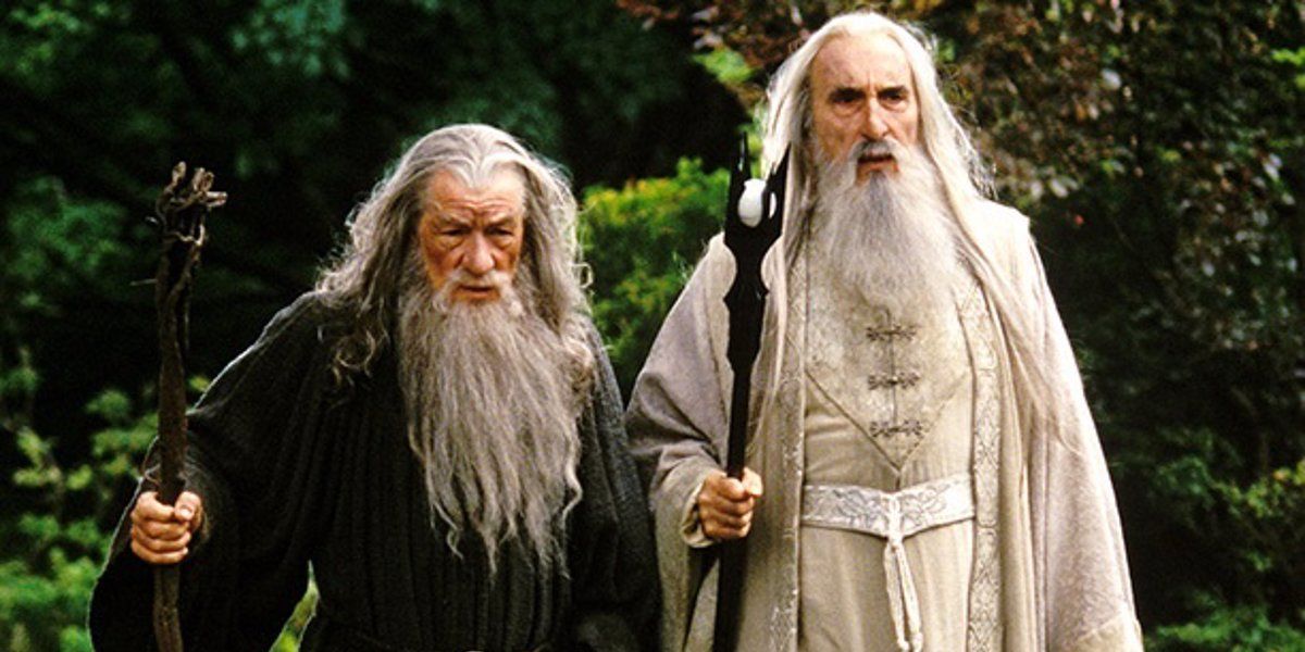 Gandalf and Saruman stand in a forest in The Lord of the RIngs