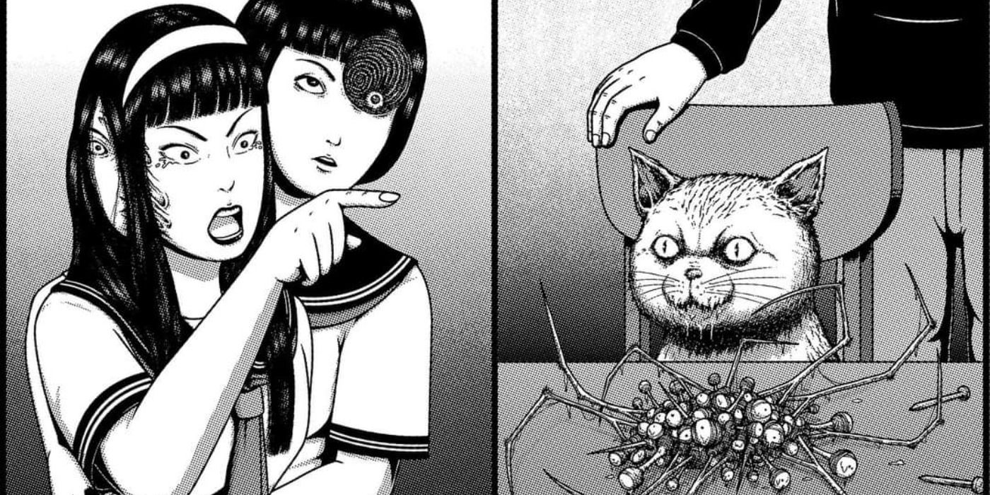 Junji Ito Meme Cat Angry Pointing Lady Cat Salad