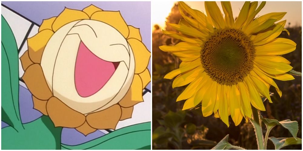 15 GrassType Pokémon That Are Basically Real Plants