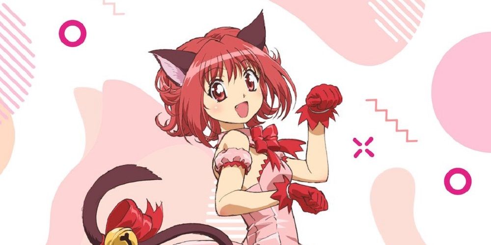 Anime Review: Tokyo Mew Mew New