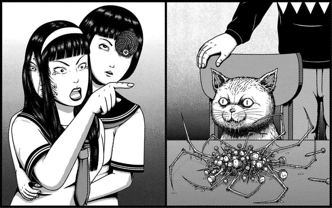 Junji Ito, Cat Meme