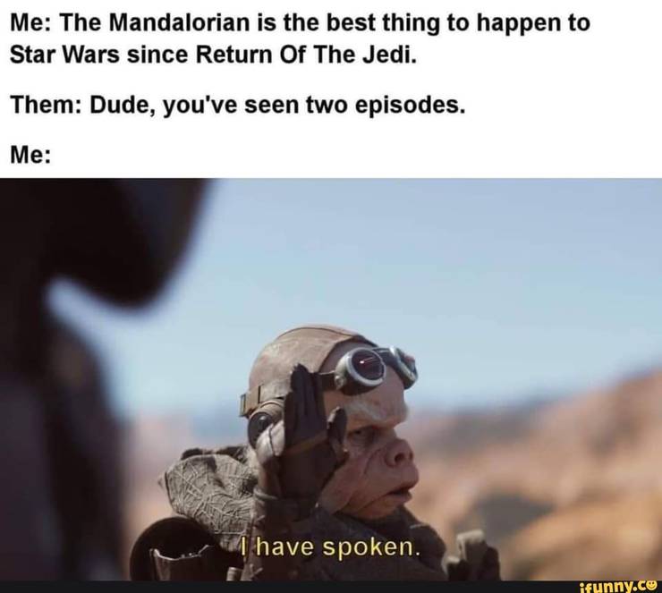 The Mandalorian: 10 Amusing "I Have Spoken" Memes 18 04/10 The reality of Mandalorian