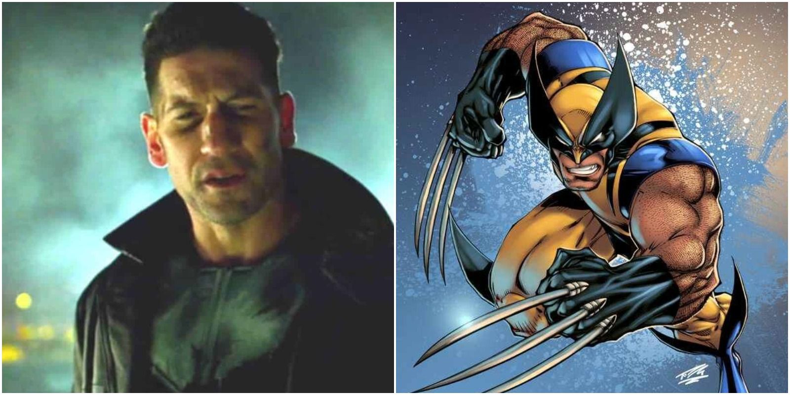 Punisher MCU and Wolverine