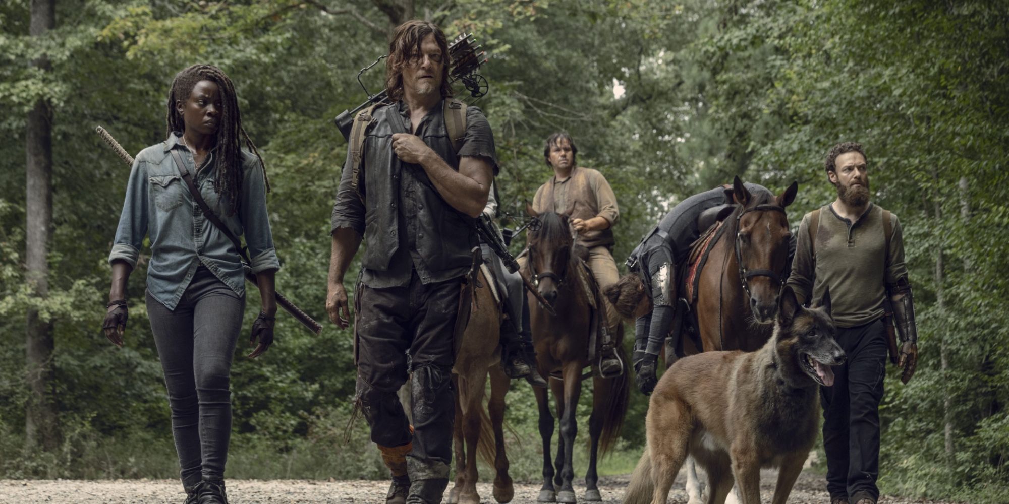 Daryl leads a party of zombie hunters, and Dog, on The Walking Dead