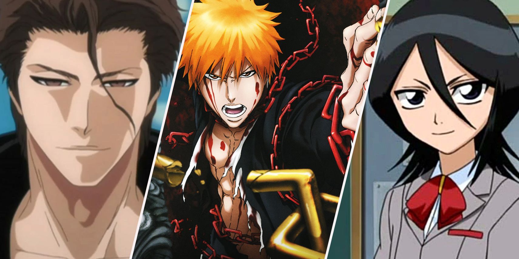 Every Bleach Filler Arc (In Chronological Order)