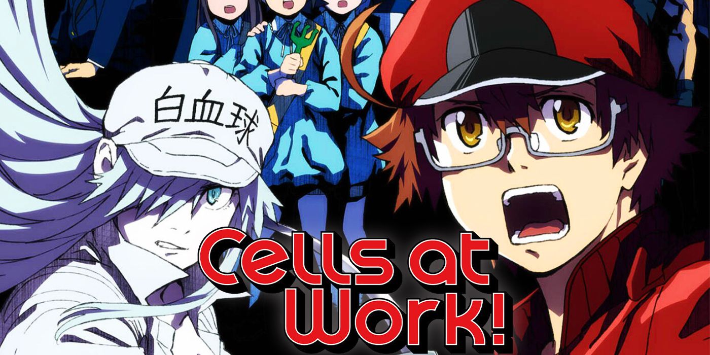 STORY  Cells at Work!! Official USA Website