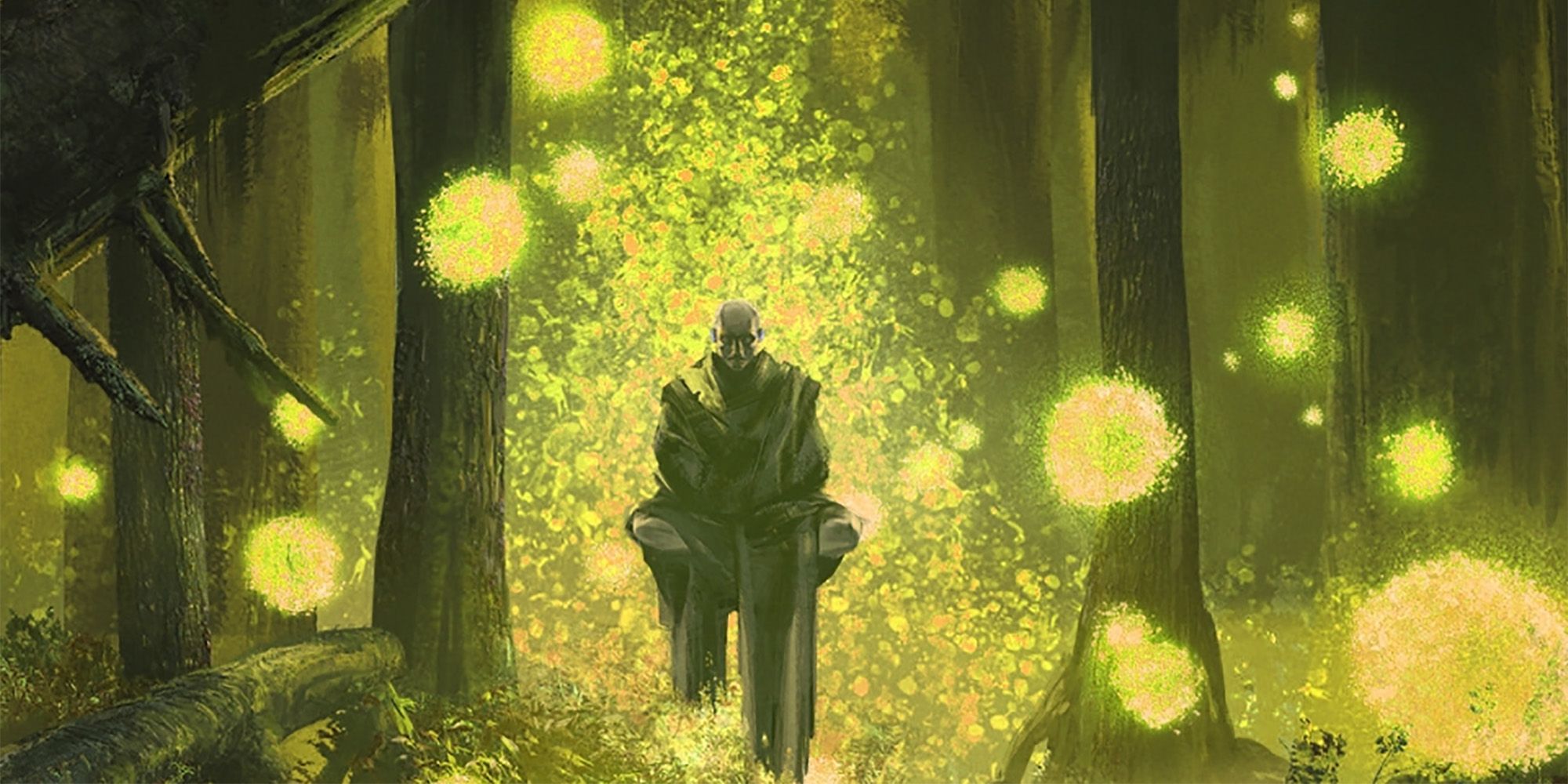 A Way of the Sun Soul monk in a forest in DnD