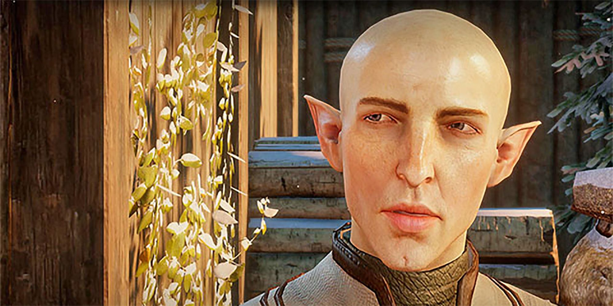 Dragon Age 4: Fan-Favorite Characters Fans Want to See Return