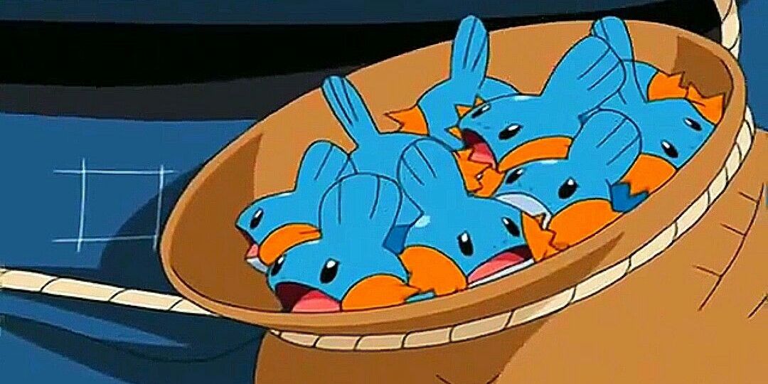 Anime Pokemon Mudkip Group Captured