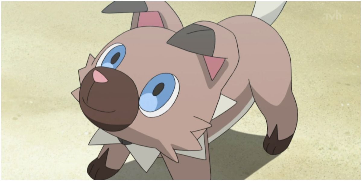 10 Pokémon de perro que queremos como mascotas reales